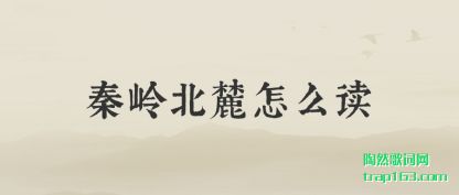 ˽뱱´ô