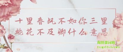 ʮﴺ粻һʲô˼
