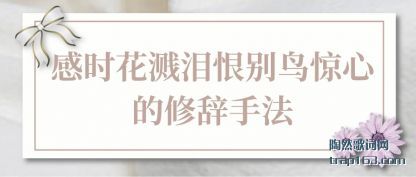 感时花溅泪恨别鸟惊心的修辞手法