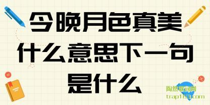 今晚月色真美什么意思下一句是什么
