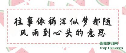 往事依稀浑似梦都随风雨到心头的意思