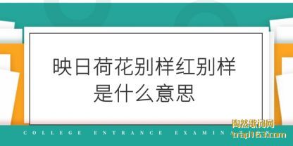 映日荷花别样红别样是什么意思