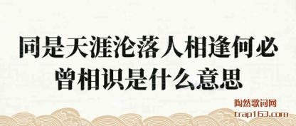 同是天涯沦落人相逢何必曾相识是什么意思