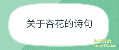 关于杏花的诗句