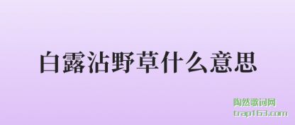 白露沾野草什么意思