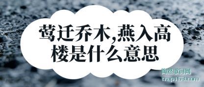 עݺǨľ,¥ʲô˼