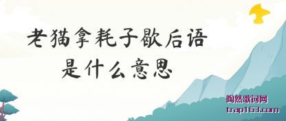 �����è�ú���Ъ������ʲô��˼