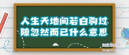 �ܽ�������ؼ����׾Թ�϶��Ȼ����ʲô��˼