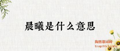 ���ܳ�����ʲô��˼