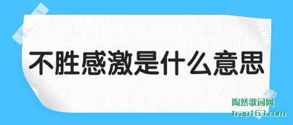 ��ⲻʤ�м���ʲô��˼