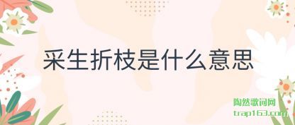 ����������֦��ʲô��˼