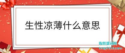 ������������ʲô��˼