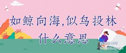 �����羨��,����Ͷ��ʲô��˼