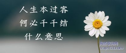 ˵�����������ͺα�ǧǧ��ʲô��˼