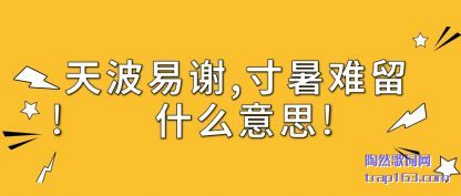 ̸���첨��л,��������ʲô��˼