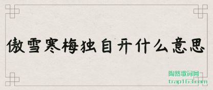 ������ѩ��÷���Կ�ʲô��˼