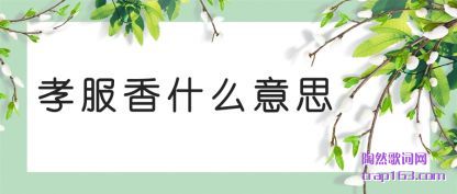 ����Т����ʲô��˼