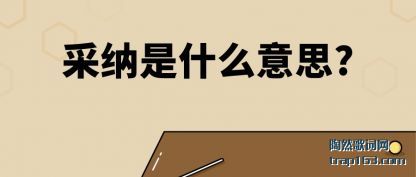 ����������ʲô��˼?