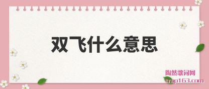 ����˫��ʲô��˼