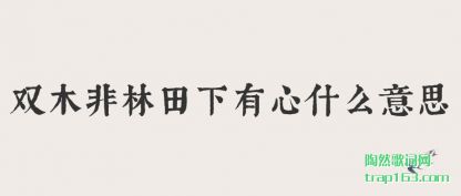 ����˫ľ������������ʲô��˼