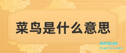 ̸̸������ʲô��˼