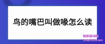 ��������ͽ������ô��