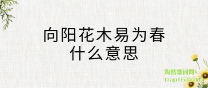 ����������ľ��Ϊ��ʲô��˼