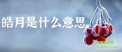 ���������ʲô��˼