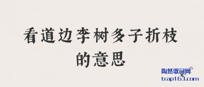 ʶ֦˼