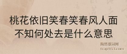 һЦЦ治֪δȥʲô˼