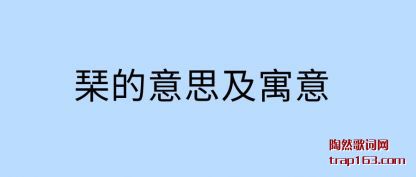 �l����˼��Ԣ��