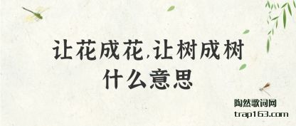 �û��ɻ�,��������ʲô��˼