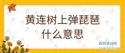 ע��������ϵ�����ʲô��˼