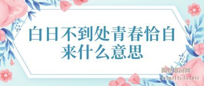 �����ղ������ഺǡ����ʲô��˼