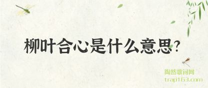 ��˵��Ҷ������ʲô��˼?