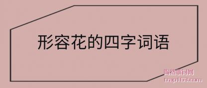 ע�����ݻ������ִ���