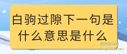 ���׾Թ�϶��һ����ʲô��˼��ʲô