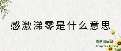 ���ܸм�������ʲô��˼