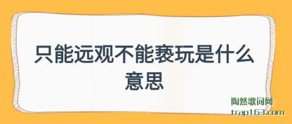 ڹ��ֻ��Զ�۲���������ʲô��˼