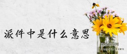 �����ɼ�����ʲô��˼