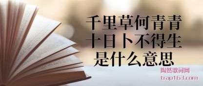 ����ǧ��ݺ�����ʮ�ղ���������ʲô��˼