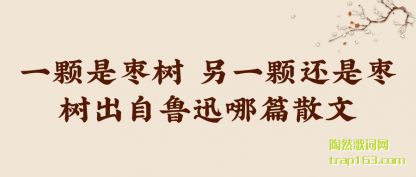 ڹ��һ�������� ��һ�Ż�����������³Ѹ��ƪɢ��