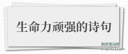 �ܽ���������ǿ��ʫ��