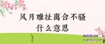 �������ѳ���ϲ�ɧʲô��˼