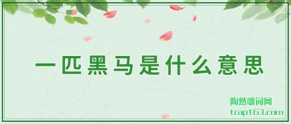 ����һƥ������ʲô��˼