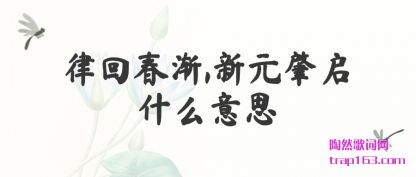 �����ɻش���,��Ԫ����ʲô��˼