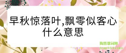 �������ﾪ��Ҷ,Ʈ���ƿ���ʲô��˼