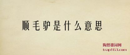 ���˳ë¿��ʲô��˼