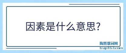 ����������ʲô��˼?