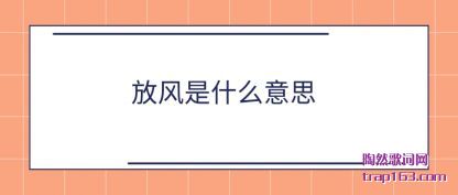 ���ܷŷ���ʲô��˼